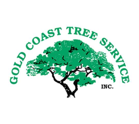 Gold Coast Tree Service