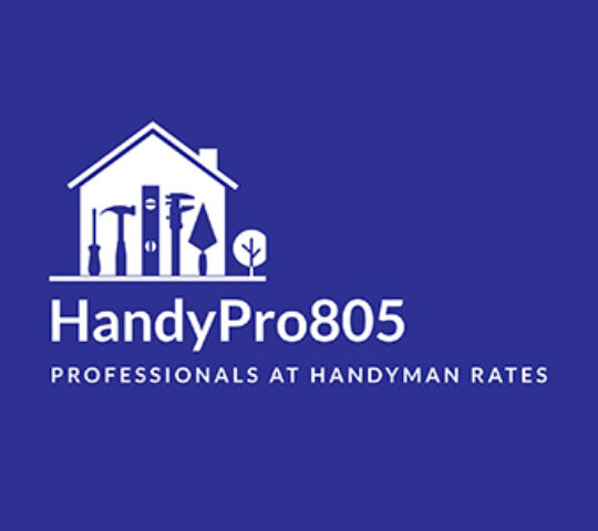 HandyPro805 HandyPro805