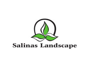 Salinas-1