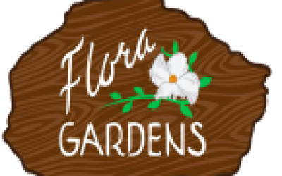 Screen Shot 2022-05-23 at 9.42.22 AM